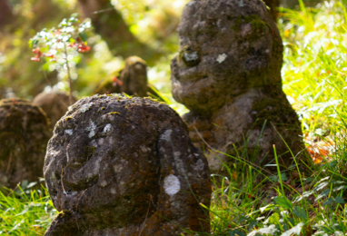 Ryoanji Zen Rock Garden with 15 stones