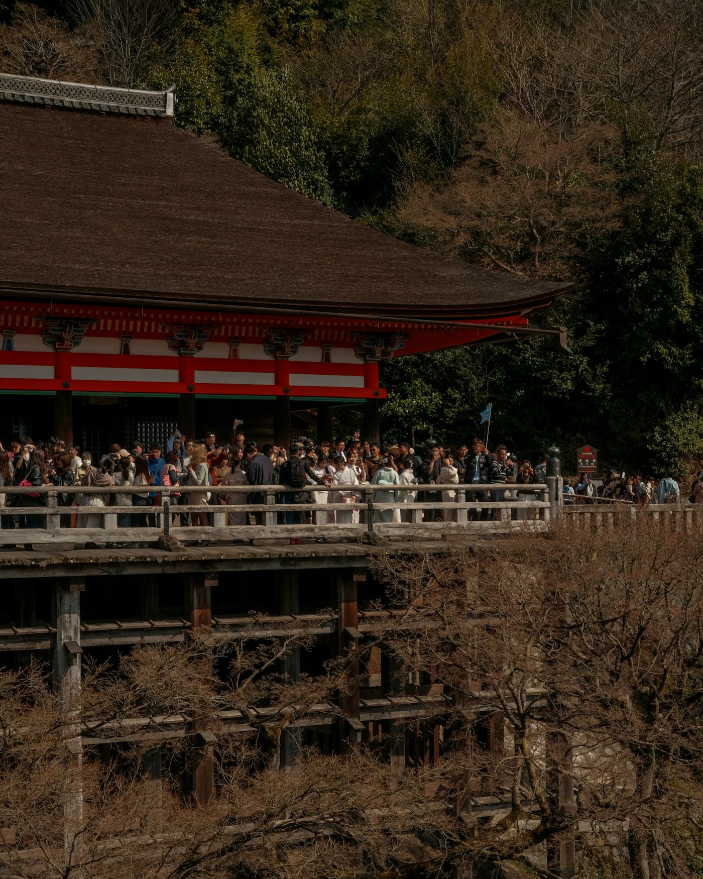 The wooden stage of Kiyomizu-dera jutting out over the maple trees