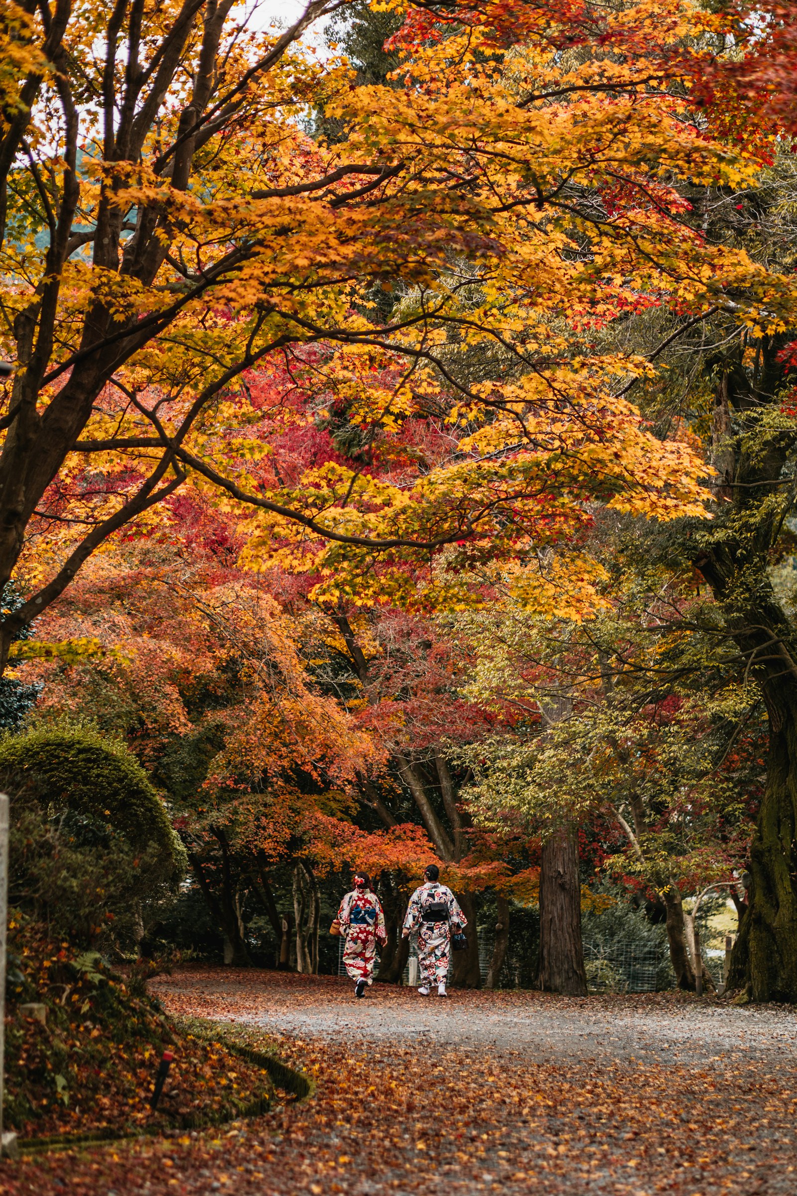 Best Kimono Colors for Kyoto Autumn Photos