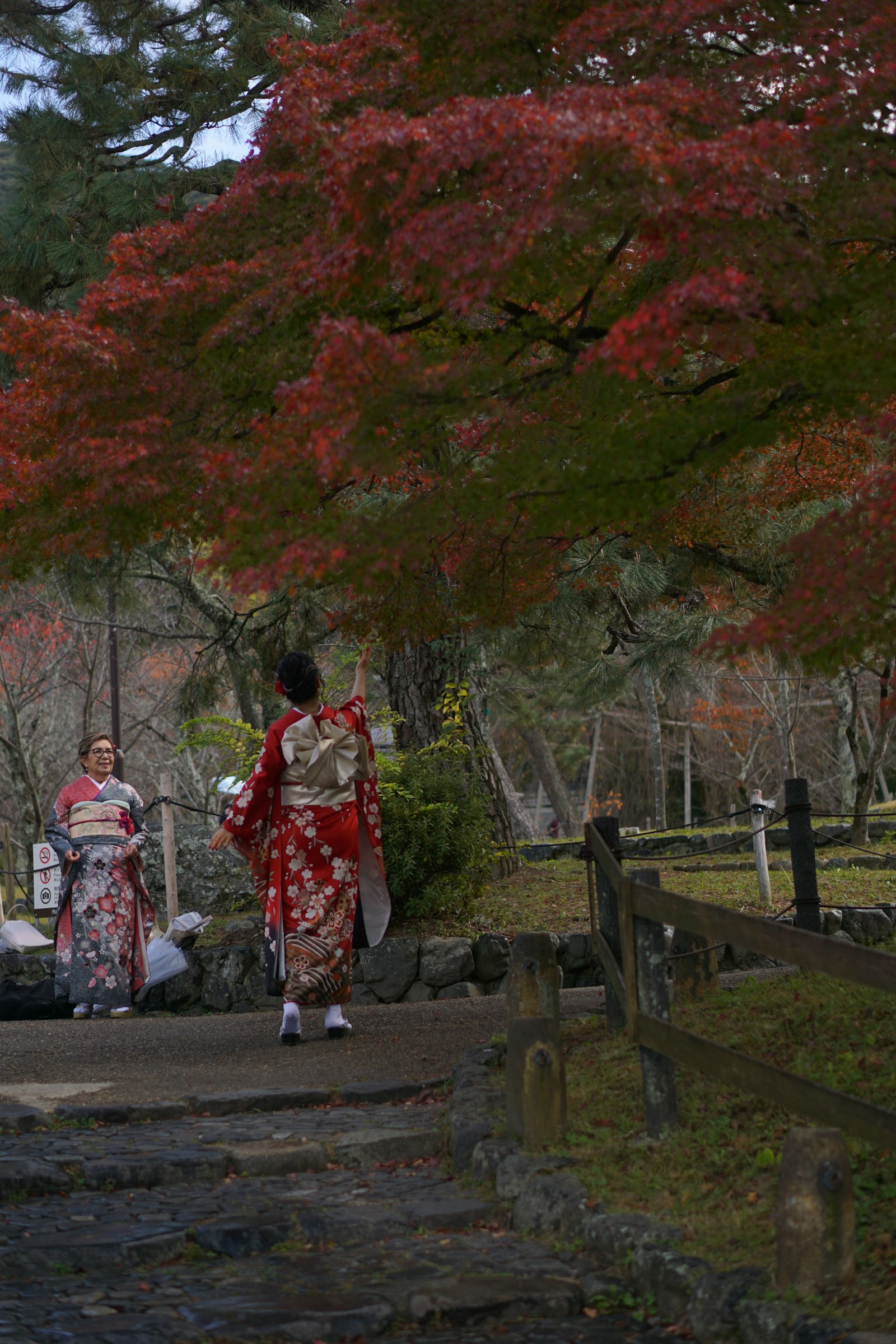京都の紅葉で着物写真を撮るなら：色・時間・場所