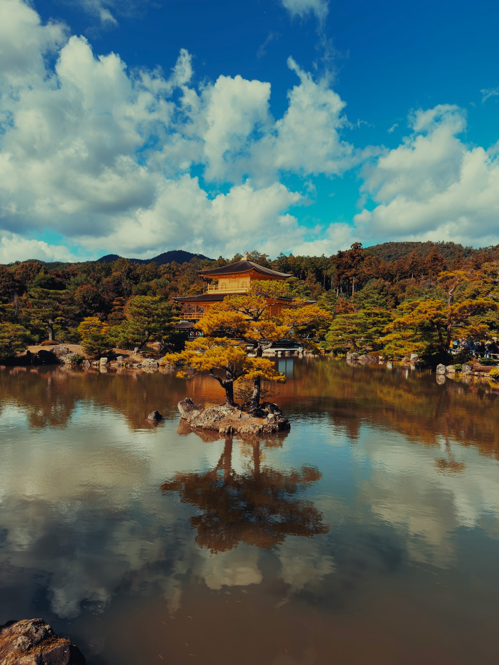 Kinkakuji: The Golden Pavilion — History, Tips & Best Photo Spots