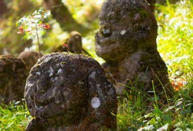 Ryoanji Zen Rock Garden with 15 stones