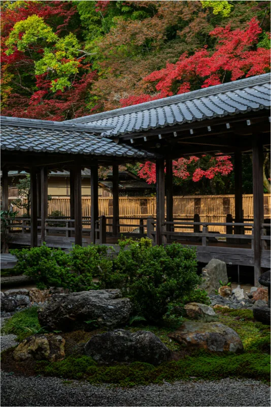 Arashiyama Bamboo Grove path in Western Kyoto without crowds