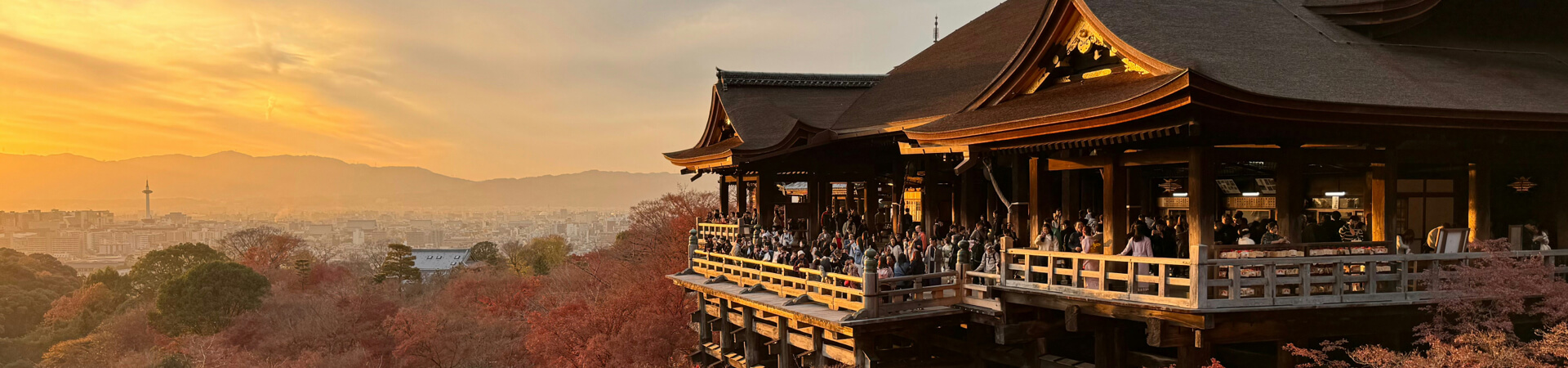 通往京都傳統寺院、兩旁綠樹成蔭的石板小徑