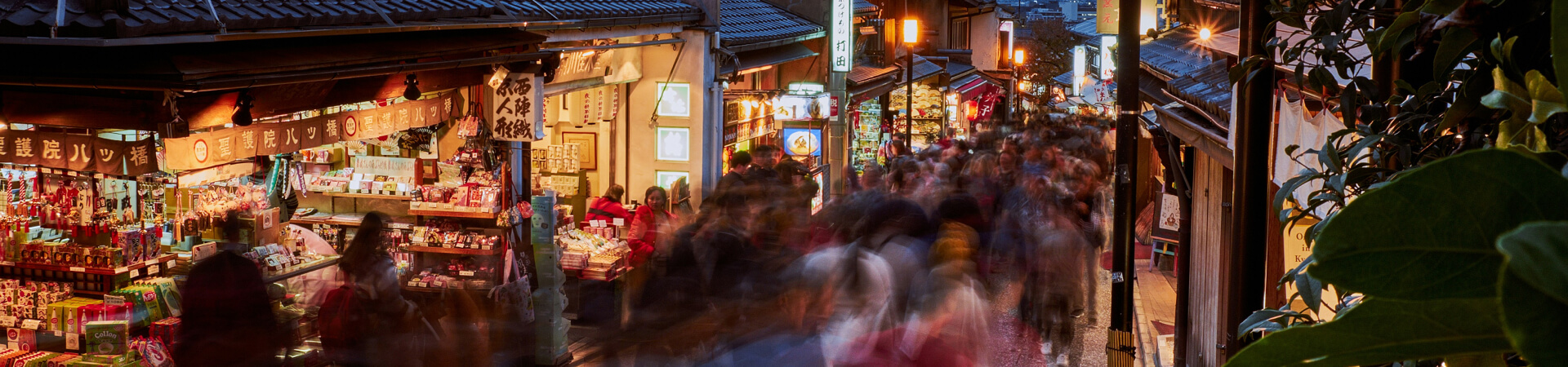 Kyoto seasons: vibrant autumn maple leaves and beautiful pink spring cherry blossoms across traditional temples