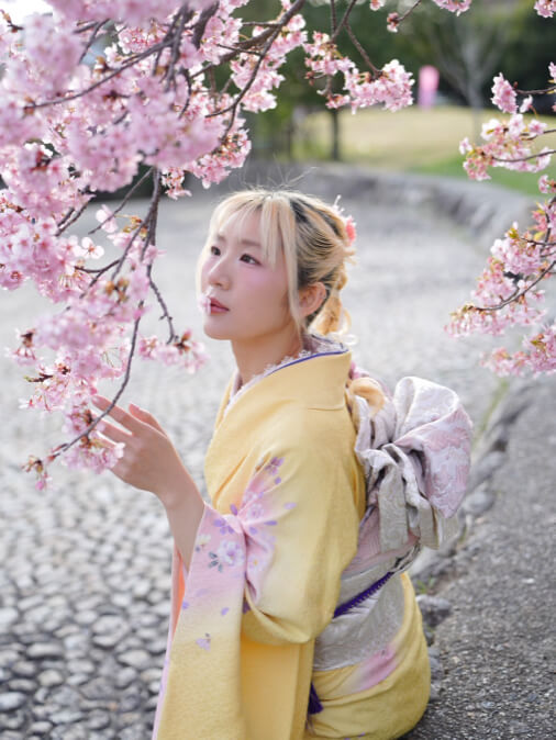 Kyoto spring cherry blossoms sakura blooming and framing traditional Japanese pagoda