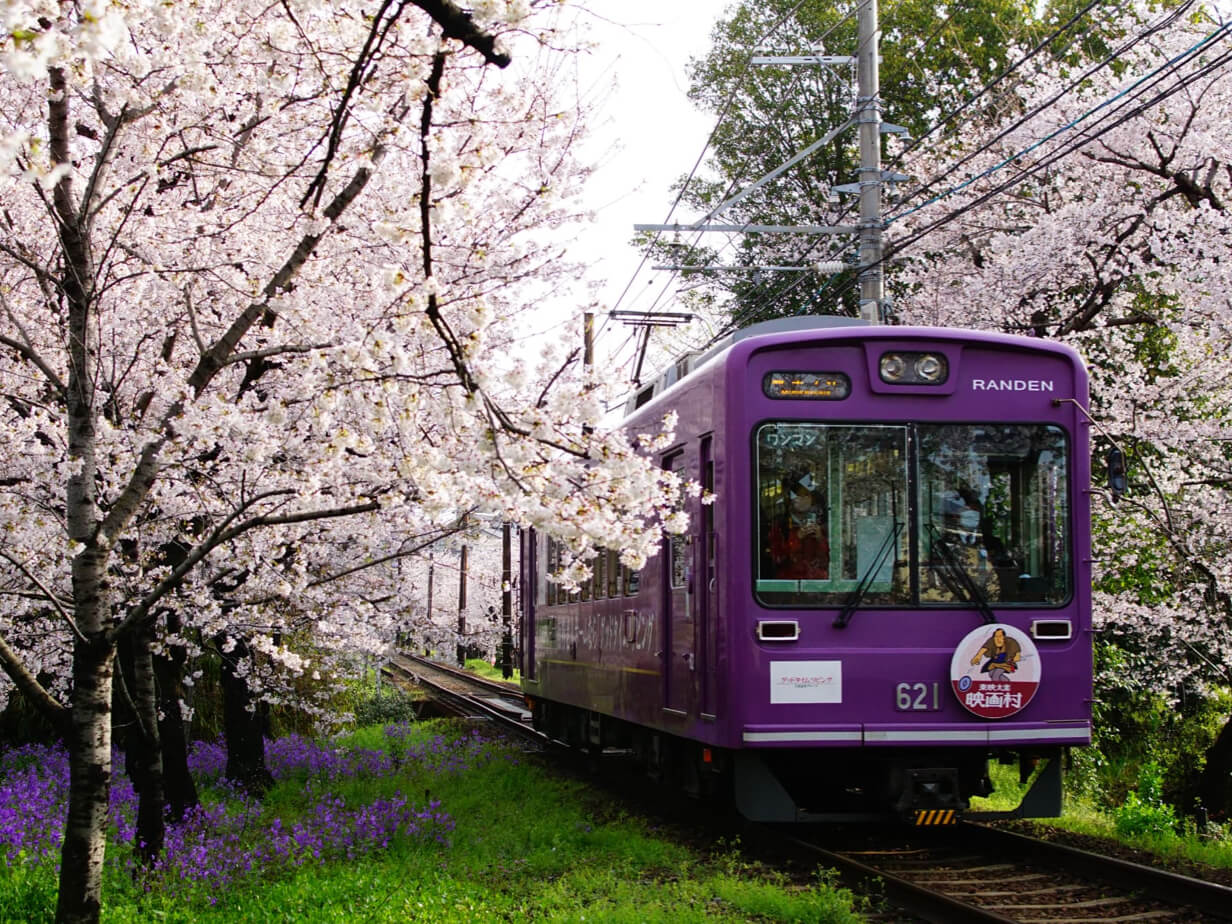Local Japanese train arriving at a scenic station in Kyoto Arashiyama area